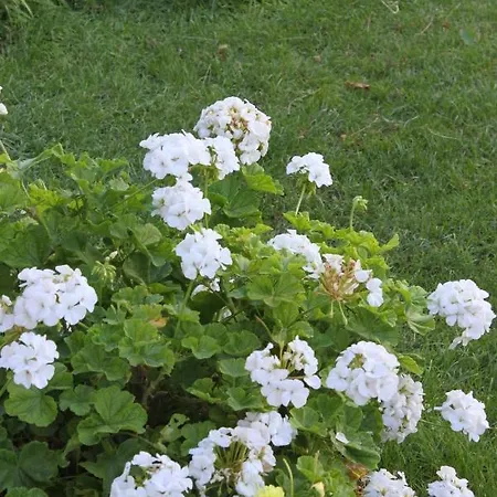 Apartamento 6745b Podaca