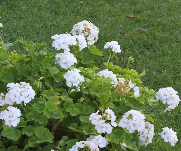 Apartament 6745b Podaca